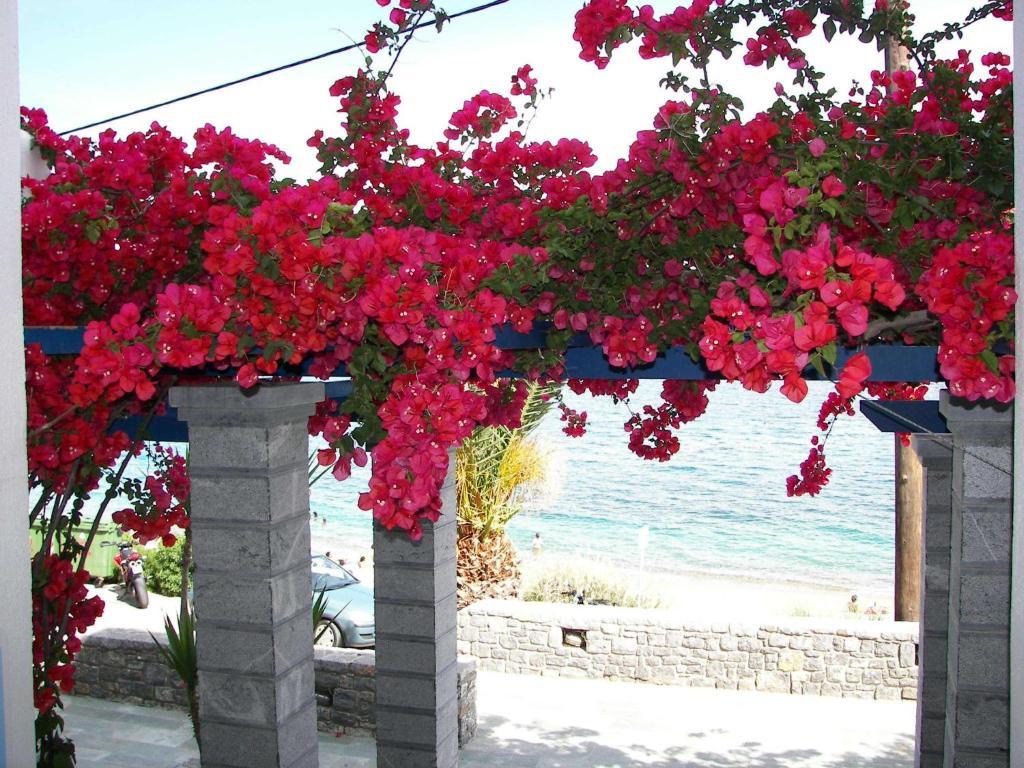 Theoxenia Chios Apartments Paralia Agias Foteinis Exteriör bild